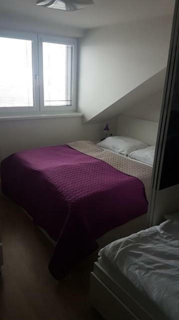 Apartmány Dolní Morava Kültér fotó
